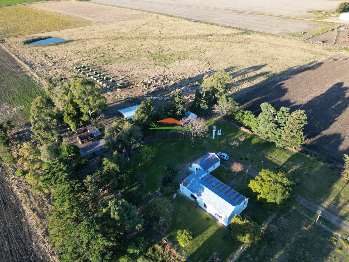 Campo Ref.209 - Excepcional ubicación en ruta 1 y campo productivo donde nadie vende.