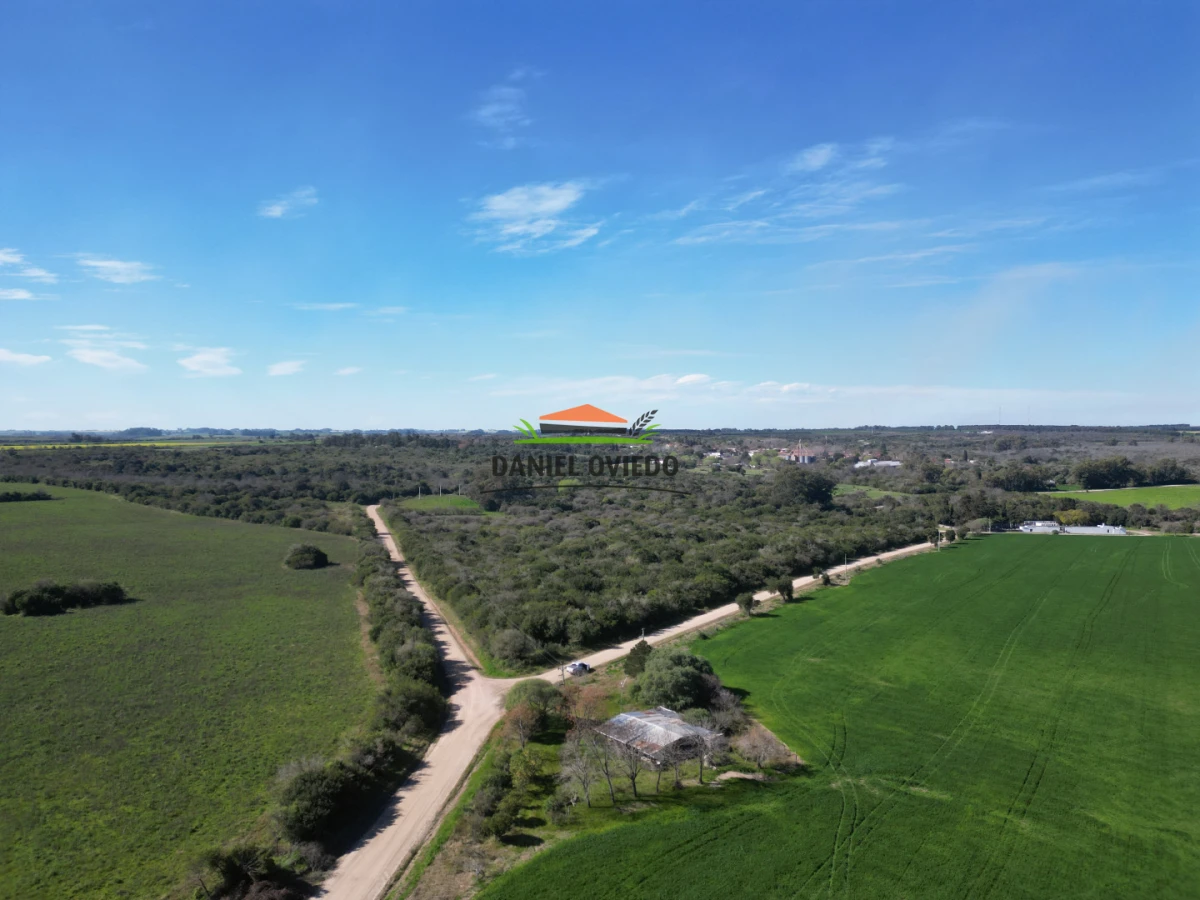 Campo Ref.414/ - ¡Nueva oportunidad rural proxima a Conchillas!