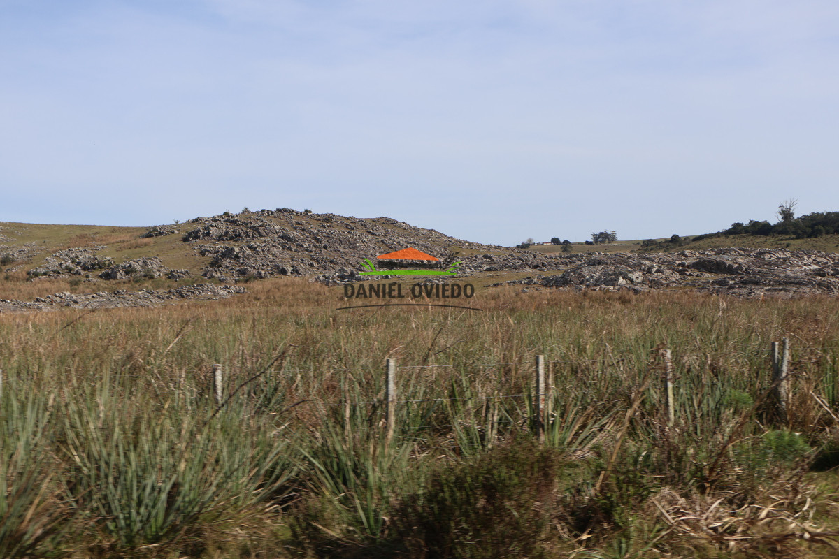 Campo Ref.211 - Estancia La Querida, Cerro Largo, 1.675 has en venta.