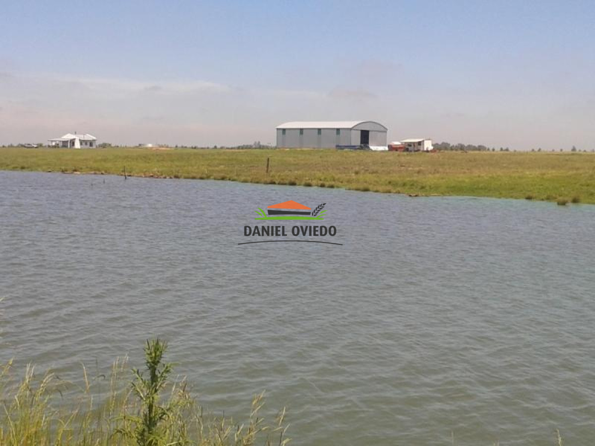 Campo Ref.15 - Campo agrícola en venta de 550 hás, Tacuarembó.