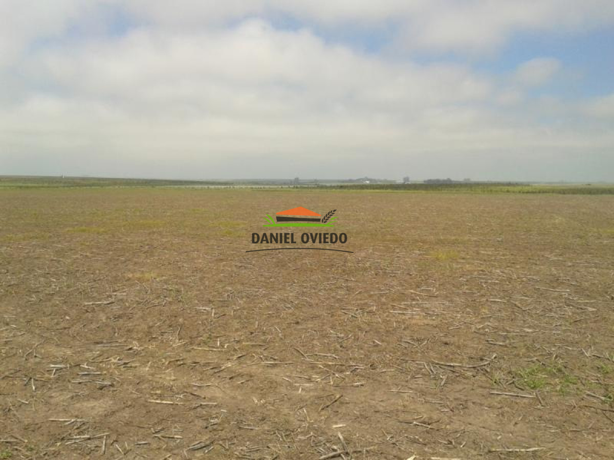 Campo Ref.15 - Campo agrícola en venta de 550 hás, Tacuarembó.