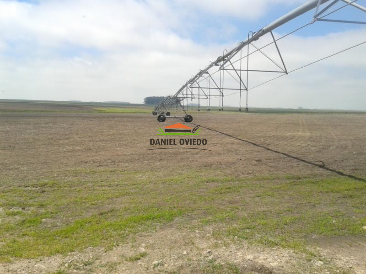 Campo Ref.15 - Campo agrícola en venta de 550 hás, Tacuarembó.