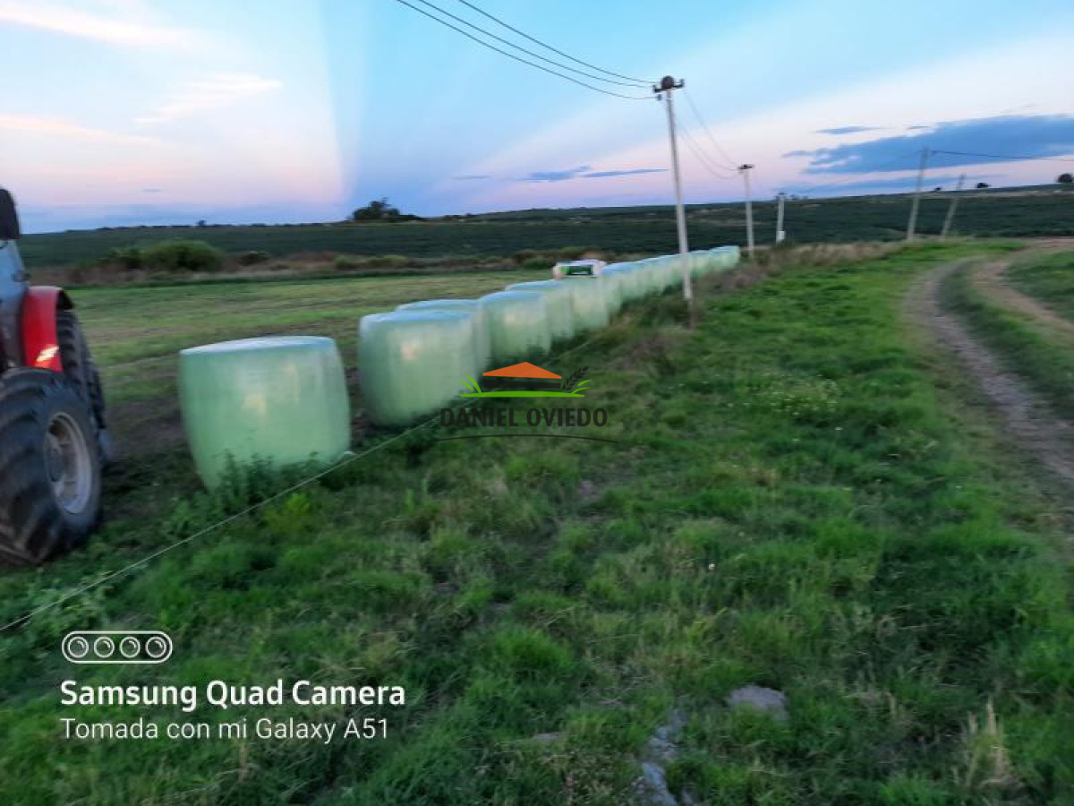 Campo Ref.128 - Oportunidad de inversión, campo agrícola-ganadero en venta en Florida.