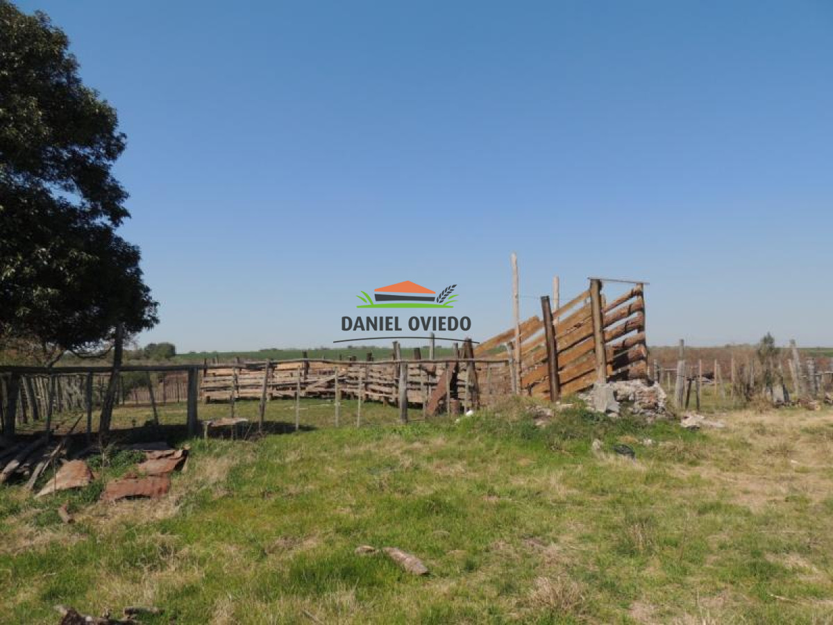 Campo Ref.111 - 180 hás ganaderas en venta a 105 km de Montevideo.
