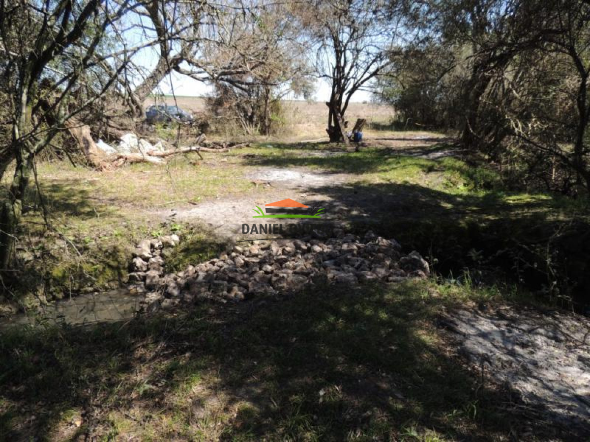 Campo Ref.111 - 180 hás ganaderas en venta a 105 km de Montevideo.
