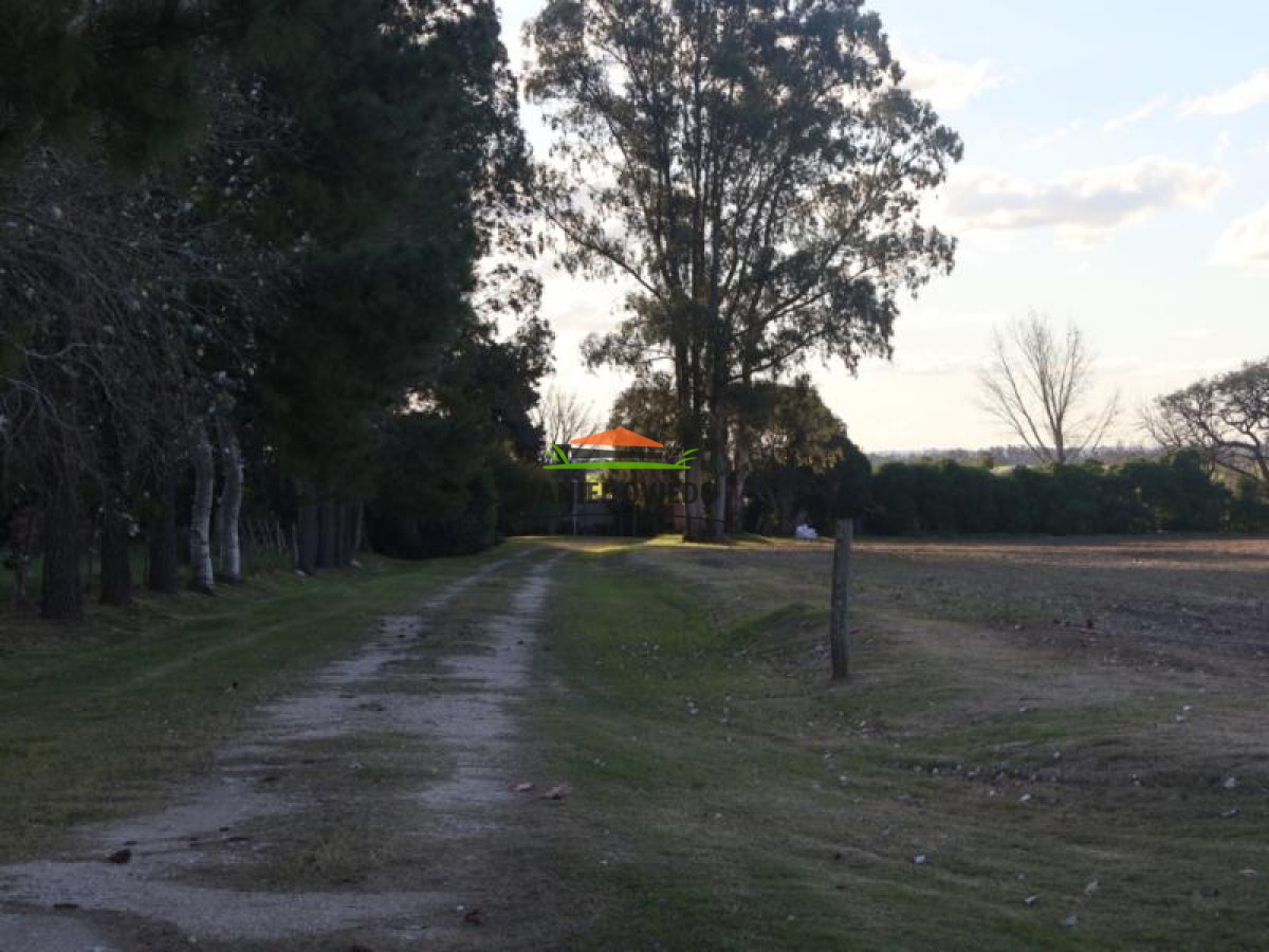 Campo Ref.38 - Campo con suelos premium y excelente casco en el corazón de San Pedro.
