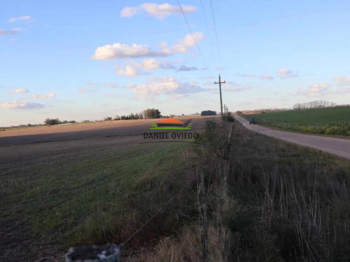 Campo Ref.38/Campo-con-suelos-premium-en-venta-en-el-coraz - Campo con suelos premium en venta en el corazón de San Pedro.