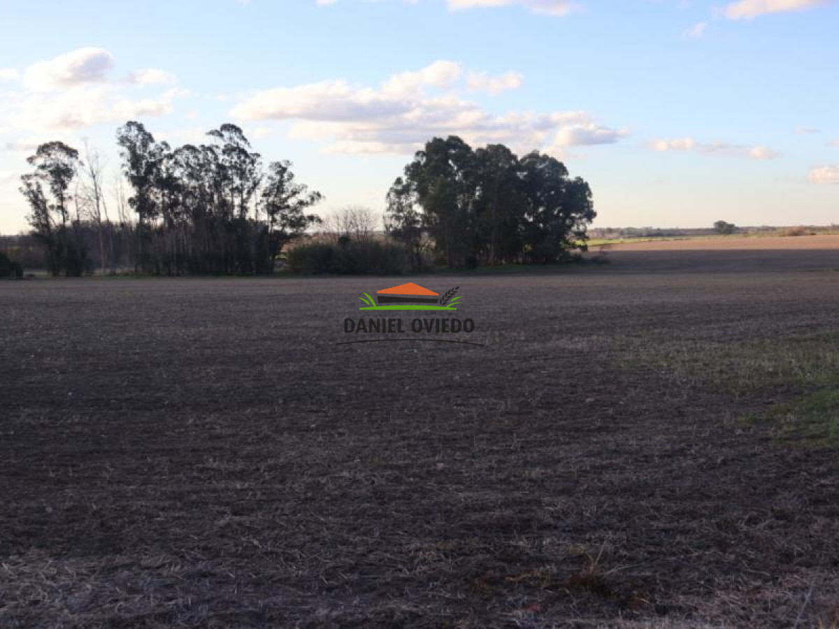 Campo Ref.38 - Campo con suelos premium y excelente casco en el corazón de San Pedro.