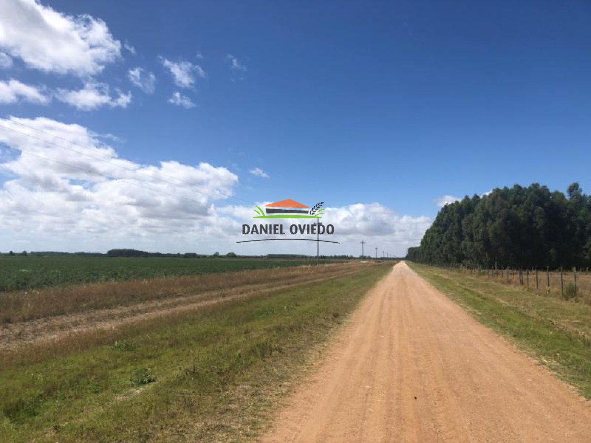 Campo Ref.10 - 20 hás en venta próximo a Colonia Delta, San José.