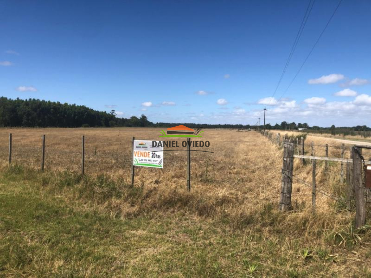 Campo Ref.10 - 20 hás en venta próximo a Colonia Delta, San José.