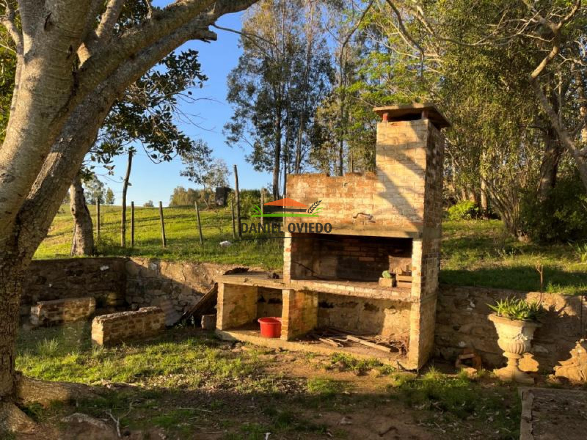 Campo Ref.52 - 374 hás ganaderas forestales en venta con mejoras y costa de arroyo.