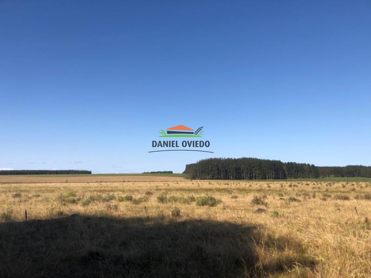 Campo Ref.13 - Campo de 270 hás en venta con alto potencial agrícola, Río Negro.
