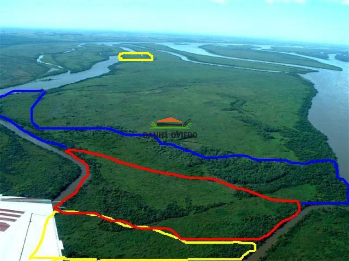 Campo Ref.16 - Oportunidad de inversión venta de isla en el río Uruguay.
