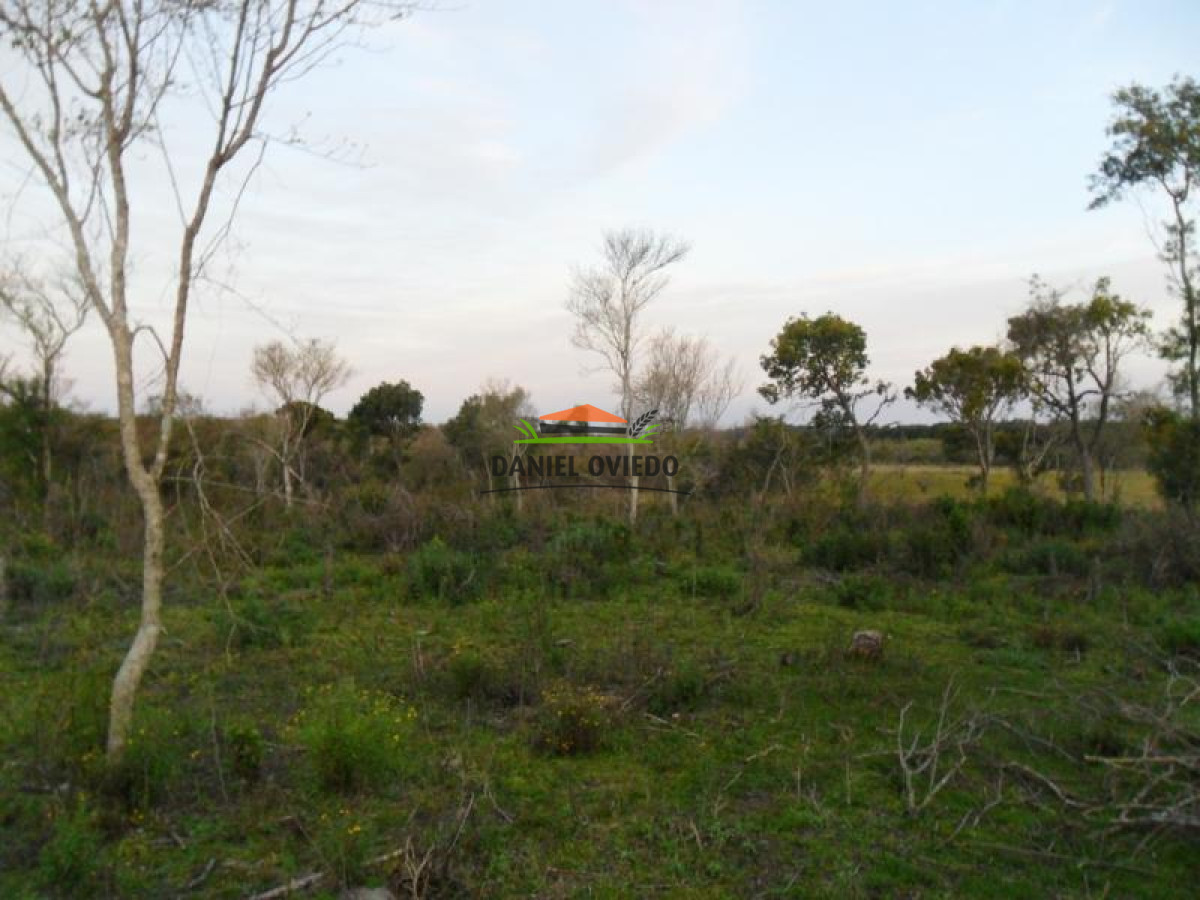 Campo Ref.118 - Excelente propiedad en venta, ideal para proyectos turísticos y de fraccionamientos.