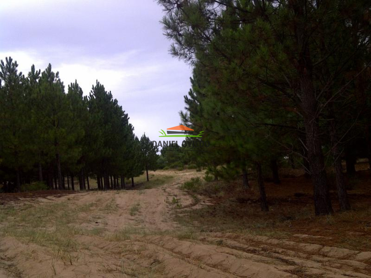 Campo Ref.117 - 1.000 metros de costa al río de la Plata con increíbles playas en venta.