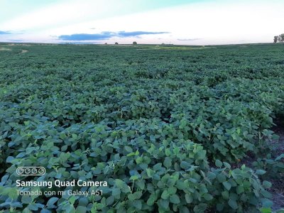 Oportunidad de inversión, campo agrícola-ganadero en venta en Florida.