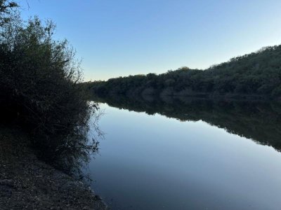 374 hás ganaderas forestales en venta con mejoras y costa de arroyo.