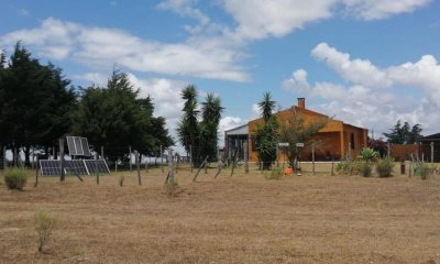 Campo ganadero forestal en venta de 595 hás, Cerro Largo.