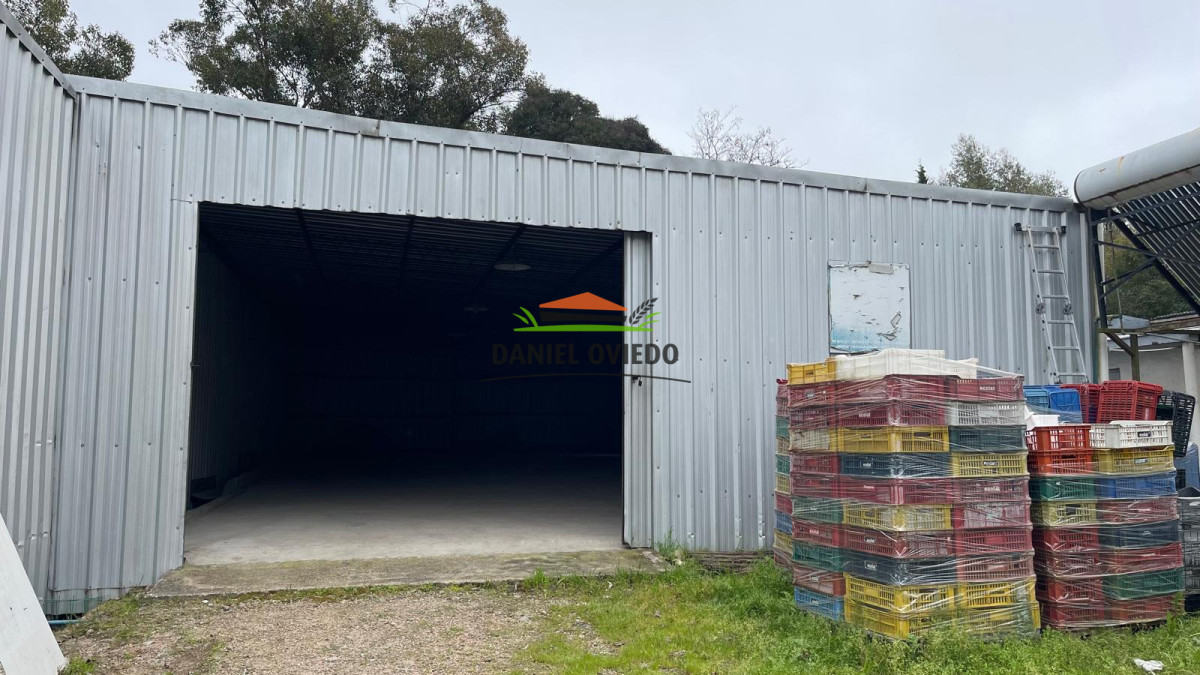 Local Comercial ID.412 - 🚀🏗️ ¡LOGÍSTICA, ENERGÍA Y SEGURIDAD LISTAS PARA TU EMPRESA EN NUEVA HELVECIA! 📦🏗️