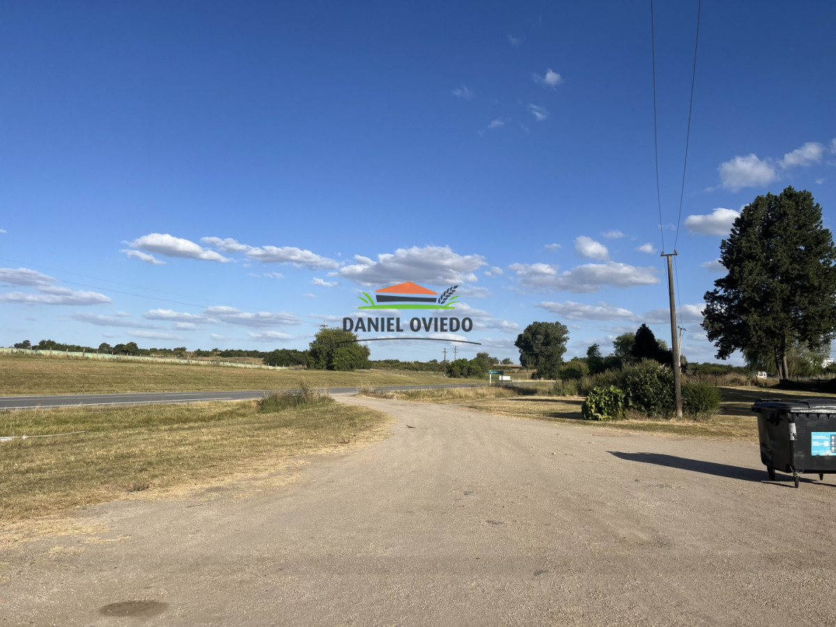 Local Comercial ID.339 - Almacén, bar y casa en venta Paso Antolín.