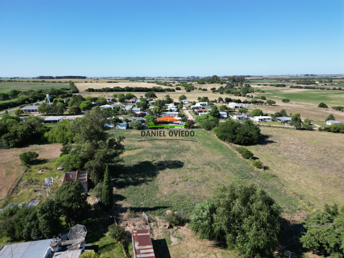 Local Comercial ID.339 - Almacén, bar y casa en venta Paso Antolín.