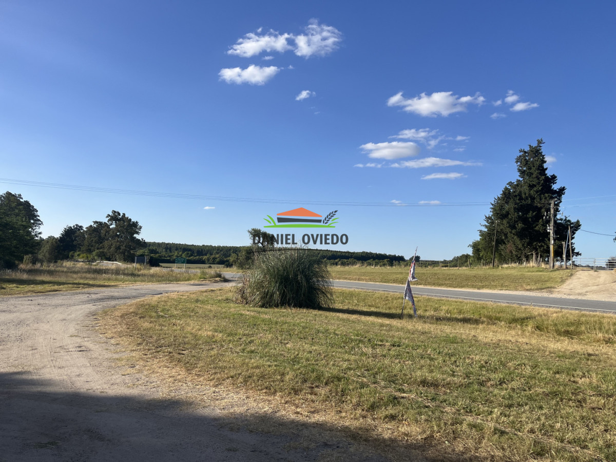 Local Comercial ID.339 - Almacén, bar y casa en venta Paso Antolín.