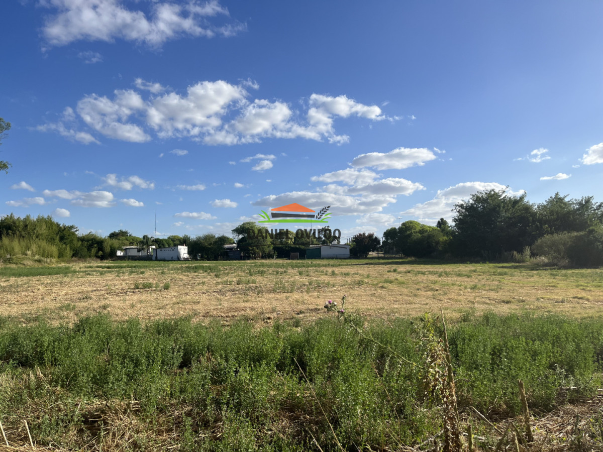 Local Comercial ID.339 - Almacén, bar y casa en venta Paso Antolín.