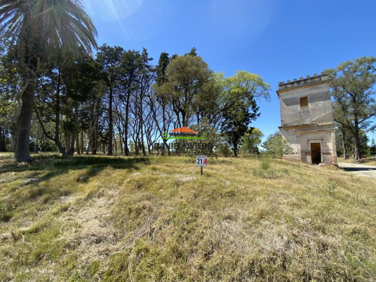 Terreno ID.79 - Terreno N   21 en Urbanización 