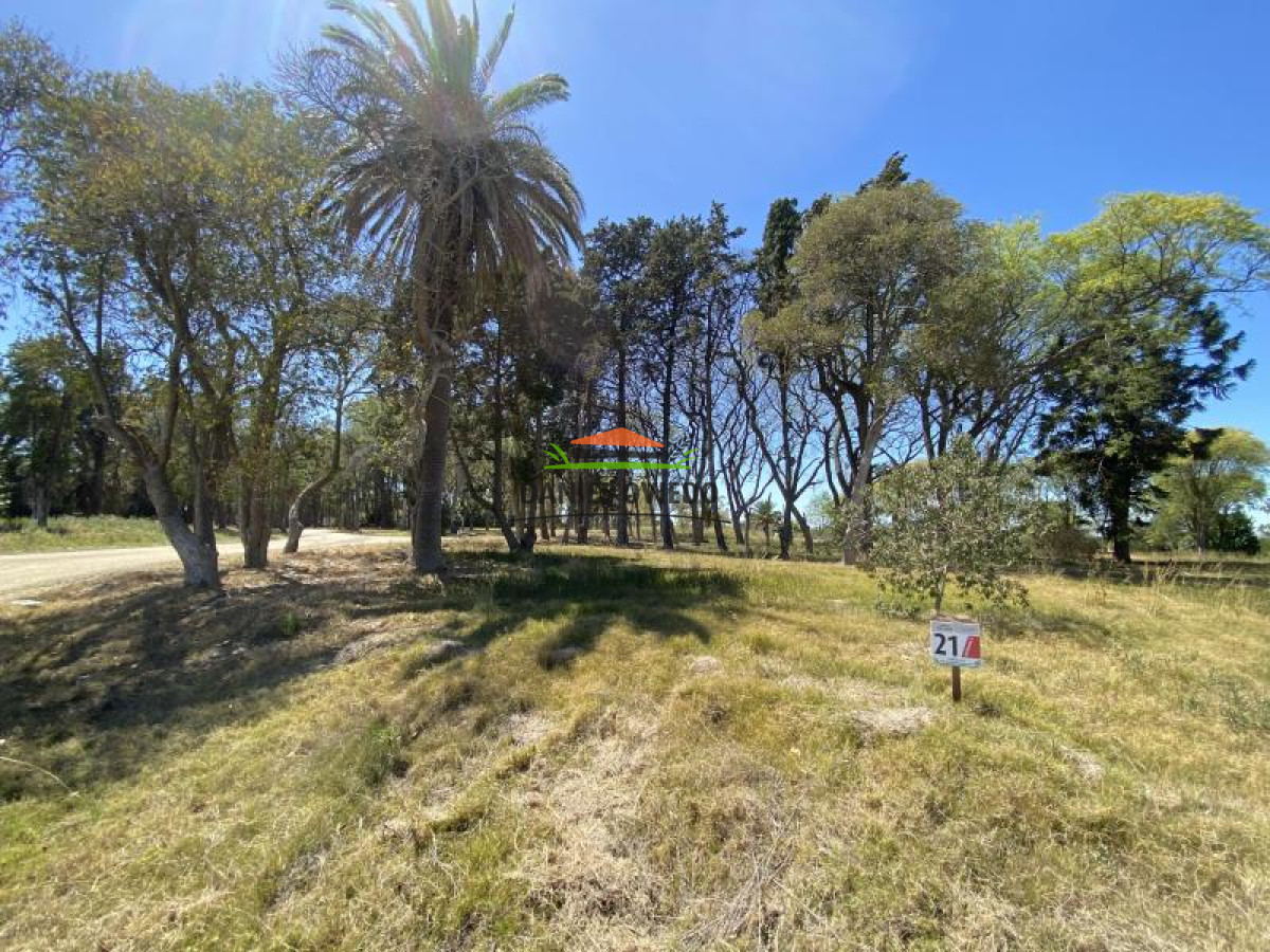 Terreno ID.79 - Terreno N   21 en Urbanización 
