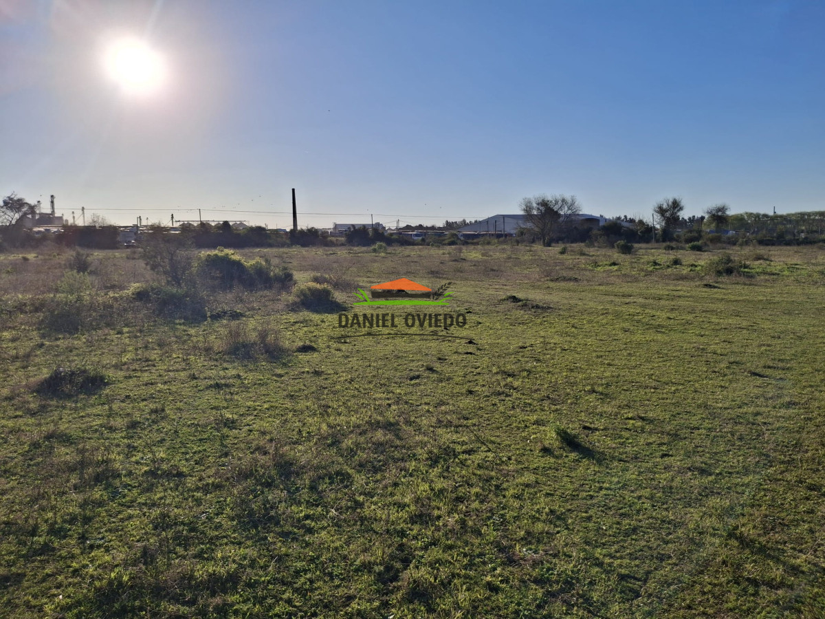 Terreno ID.250/Gran-terreno-en-venta-en-Polo-Industrial-y-Logistico-Nueva-Palmira. - Gran terreno en venta en Polo Industrial y Logistico Nueva Palmira.
