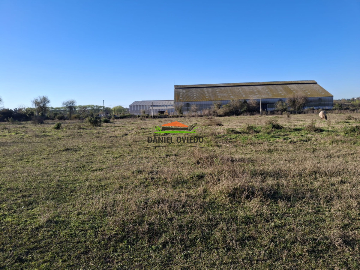 Terreno ID.250/Gran-terreno-en-venta-en-Polo-Industrial-y-Logistico-Nueva-Palmira. - Gran terreno en venta en Polo Industrial y Logistico Nueva Palmira.