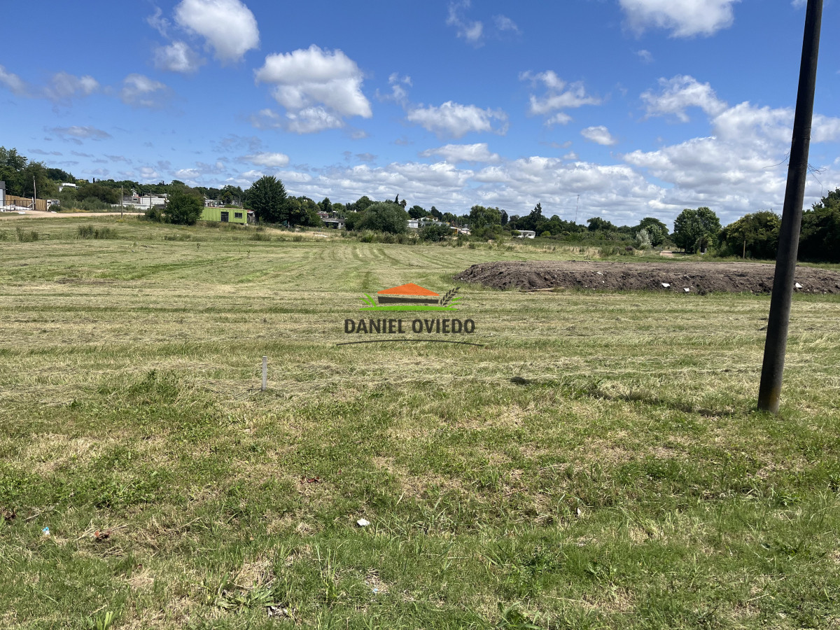 Terreno ID.156 - Terreno de 706 m2 en venta en Fraccionamiento Las Rosas.