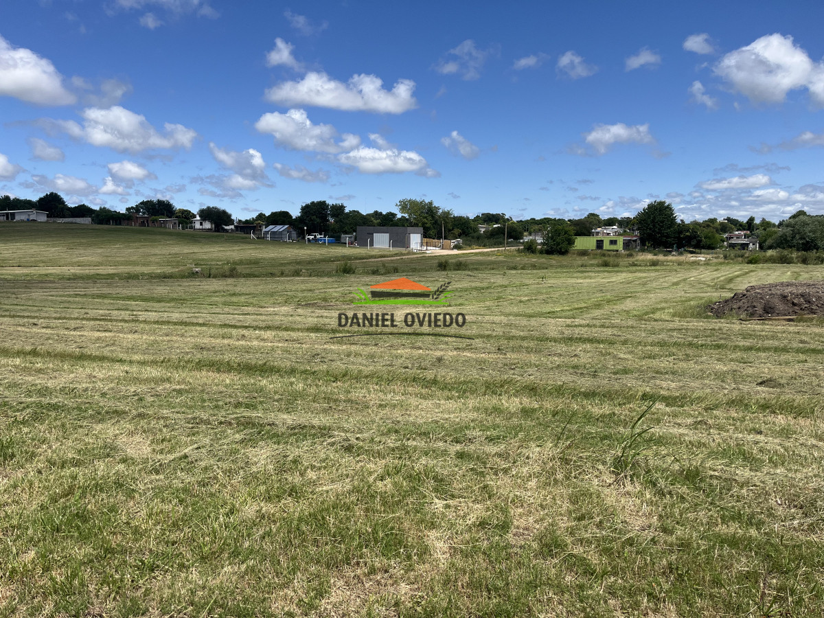 Terreno ID.156 - Terreno de 706 m2 en venta en Fraccionamiento Las Rosas.