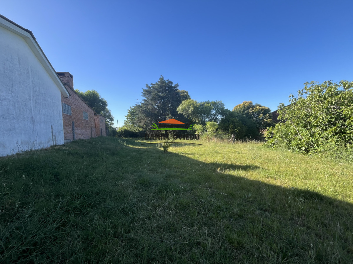 Terreno ID.331/Terreno-520-m - Terreno 520 m² a 1/2 cuadra de Av. Batlle y Ordóñez - Nueva Helvecia