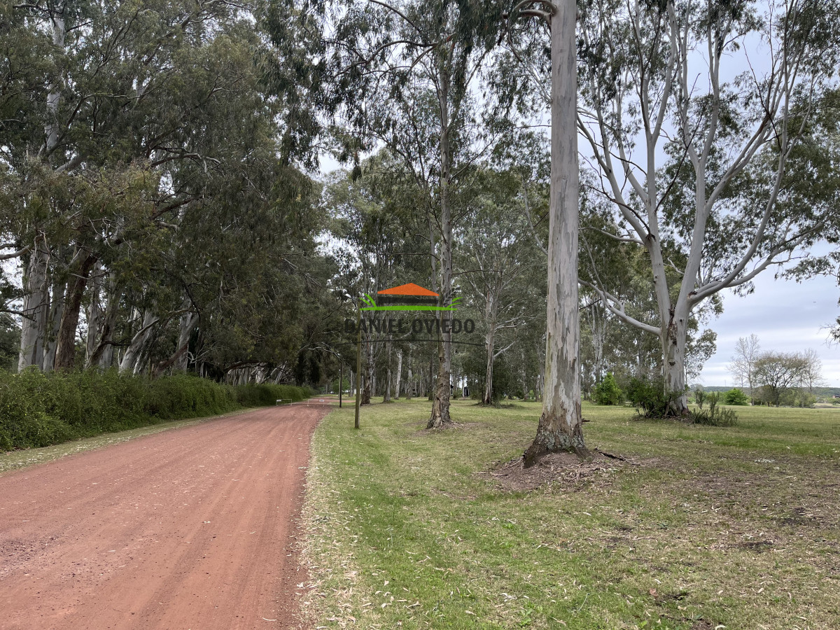 Terreno ID.185 - Oportunidad lote en venta en el Club de Golf Carmelo.