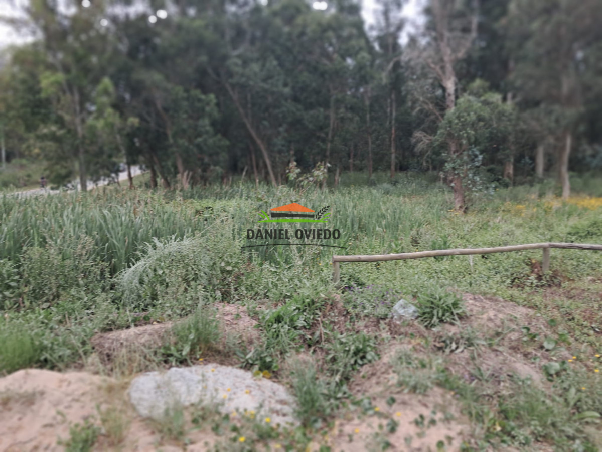 Terreno ID.320/Gran-terreno-en-esquina-en-Camino-del-Cerro-Eguzquiza,-El-Tesoro. - Gran terreno en esquina en Camino del Cerro Eguzquiza, El Tesoro.