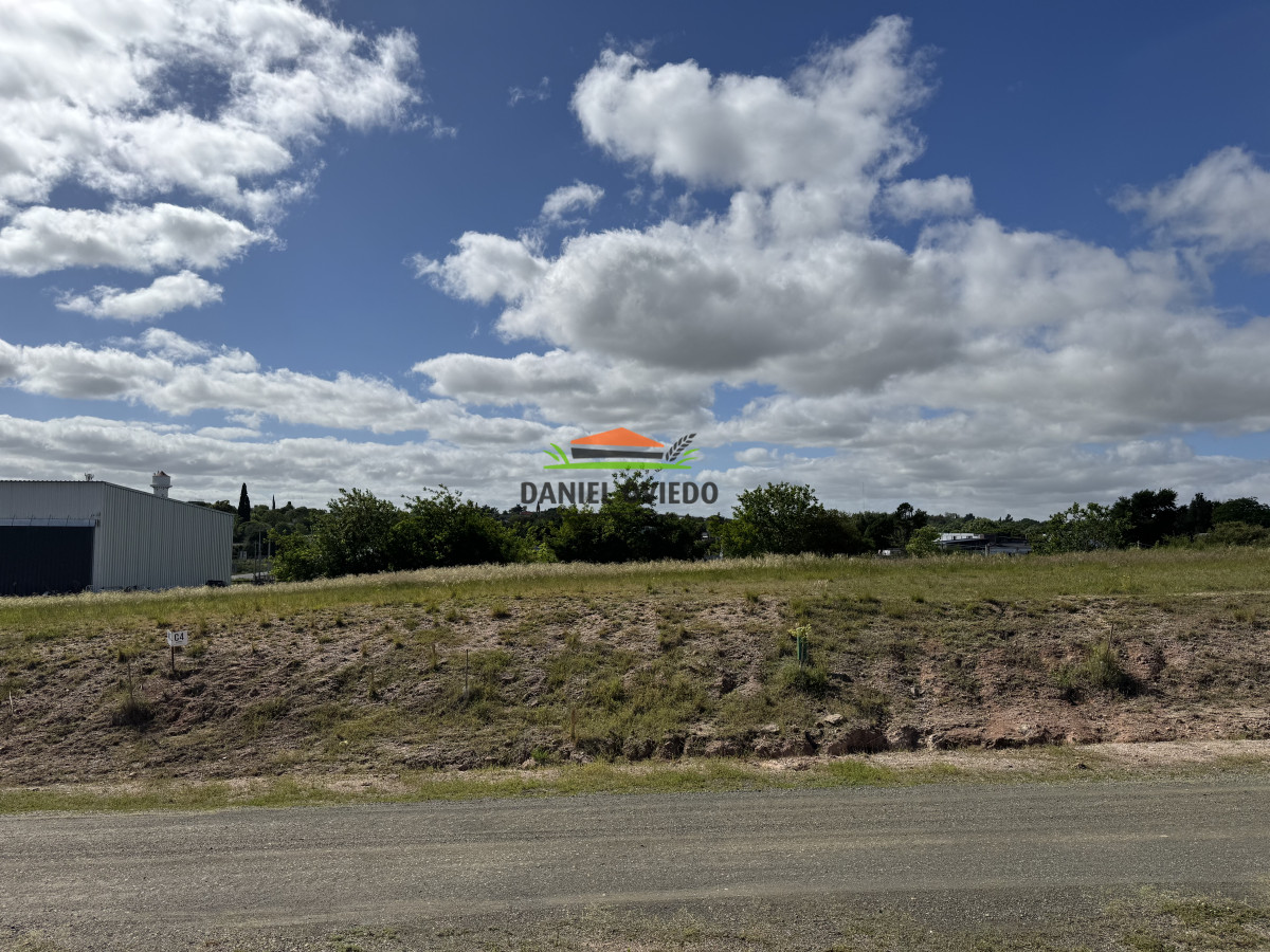 Terreno ID.312/Excelente-terrenos-en-Venta-Nueva-Helvecia - Excelente terrenos en Venta Nueva Helvecia 