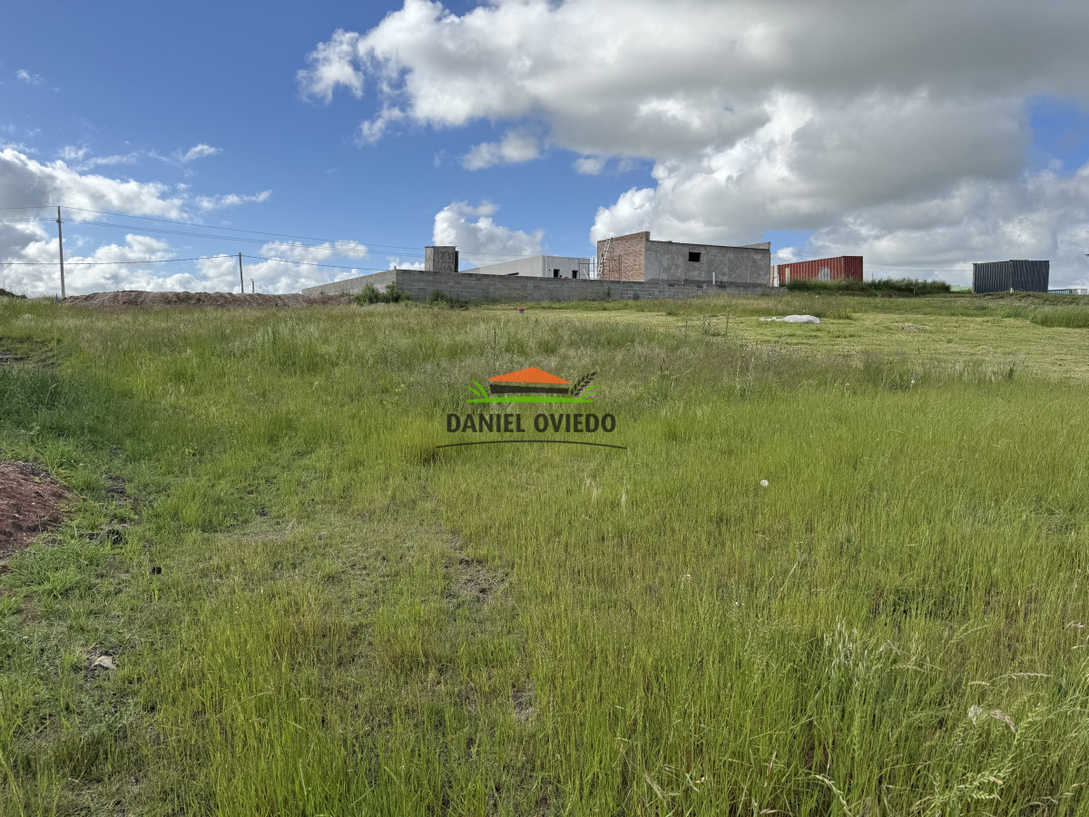 Terreno ID.298/Terreno-con-buen-fondo-y-entorno-verde---Loma-Verde - Terreno con buen fondo y entorno verde - Loma Verde