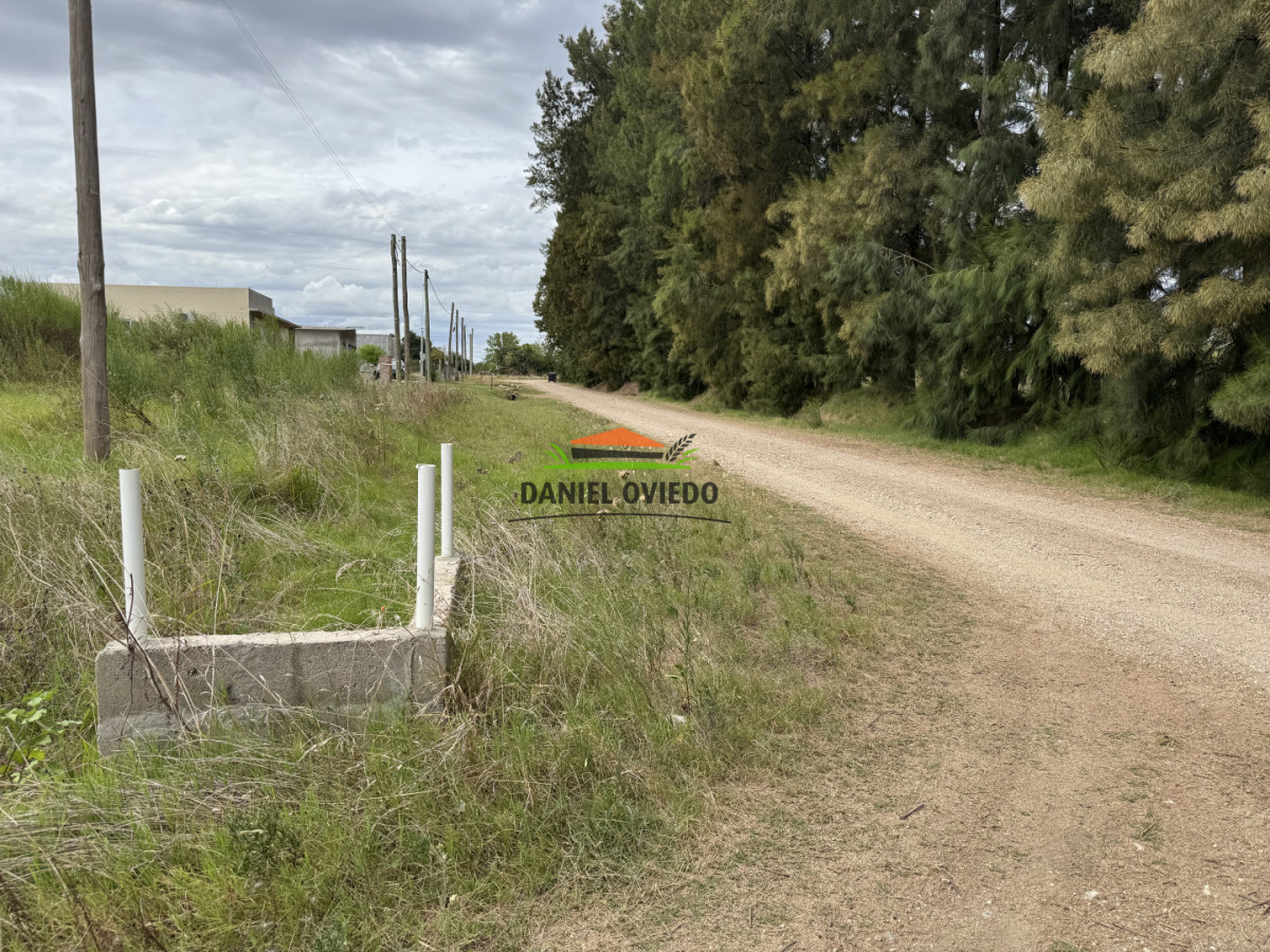 Terreno ID.348/Terreno-630-m - Terreno 630 m² en Las Casuarinas - Colonia Valdense