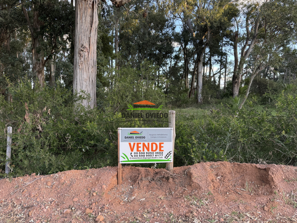 Terreno ID.379/Terreno-de-14.570-m - Terreno de 14.570 m², frente al mar en Santa Regina | Alto potencial de desarrollo