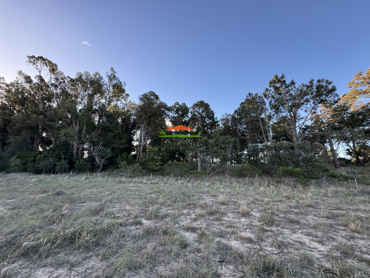 Terreno ID.379/Terreno-de-14.570-m - Terreno de 14.570 m², frente al mar en Santa Regina | Alto potencial de desarrollo