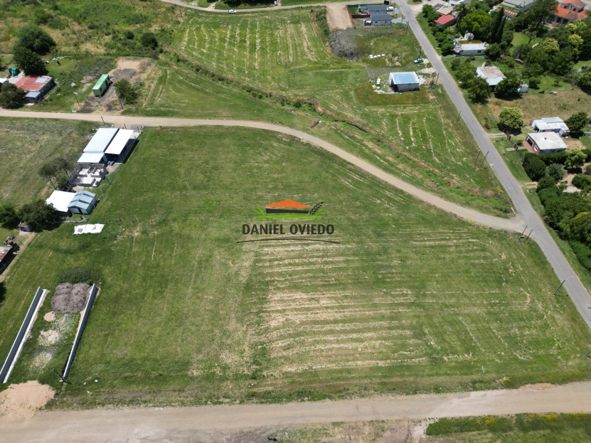 Terreno ID.322/Terreno-Alto-y-Nivelado--600-m²-a-Metros-de-Av.-Batlle-y-Ordóñez - Terreno Alto y Nivelado — 600 m² a Metros de Av. Batlle y Ordóñez