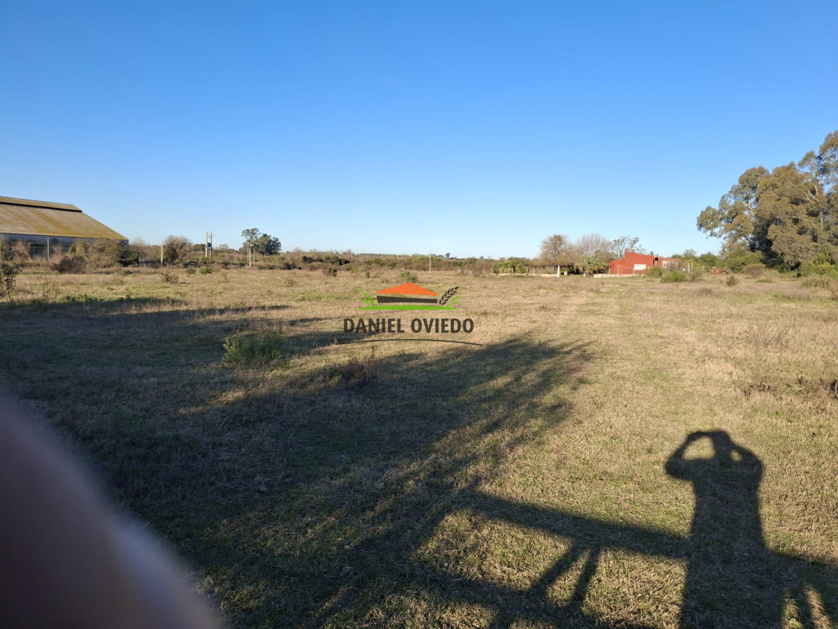 Terreno ID.250/Gran-terreno-en-venta-en-Polo-Industrial-y-Logistico-Nueva-Palmira. - Gran terreno en venta en Polo Industrial y Logistico Nueva Palmira.