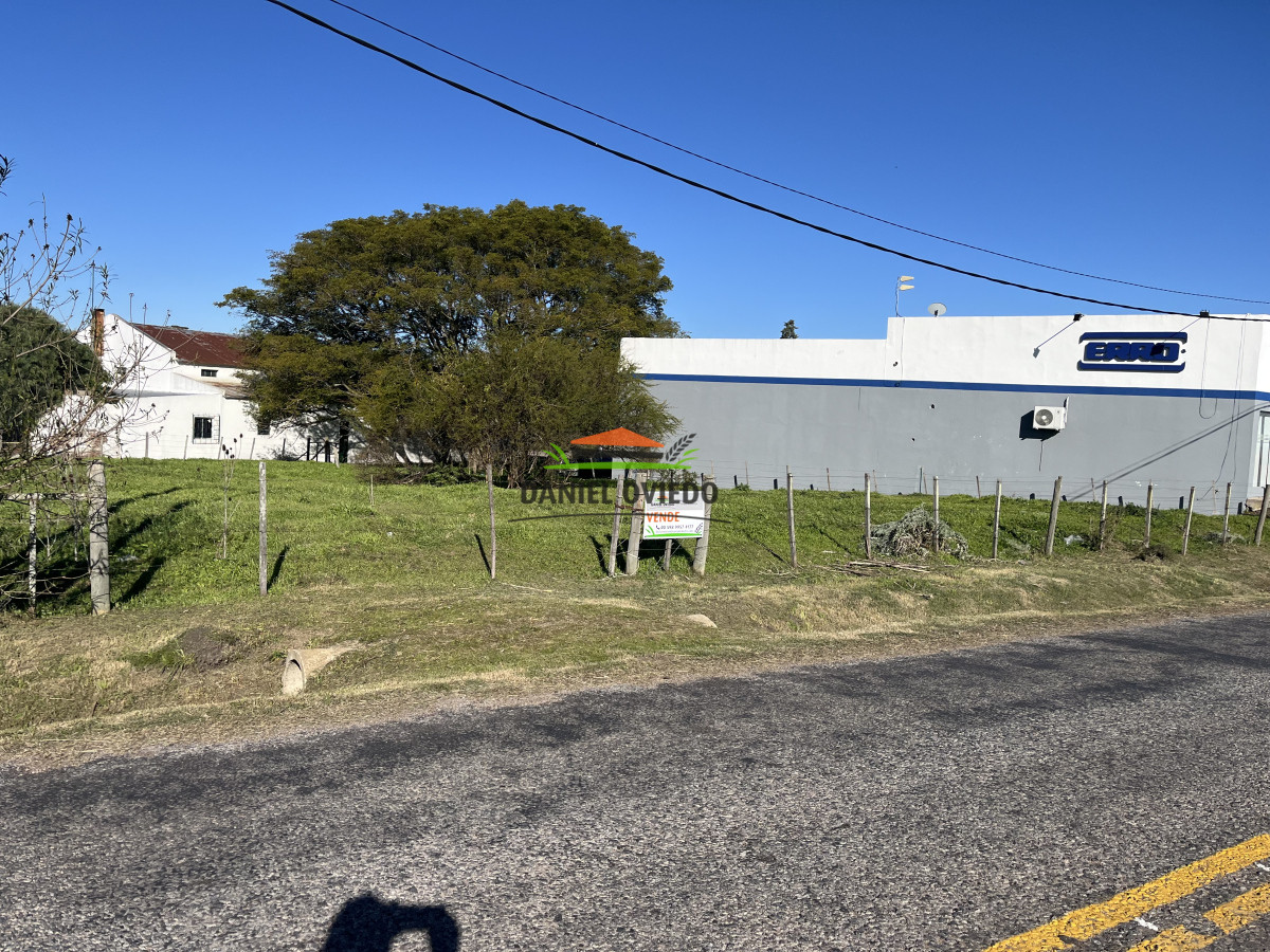 Terreno ID.215 - Gran terreno en venta a metros de ruta 21 en Radial Conchillas.
