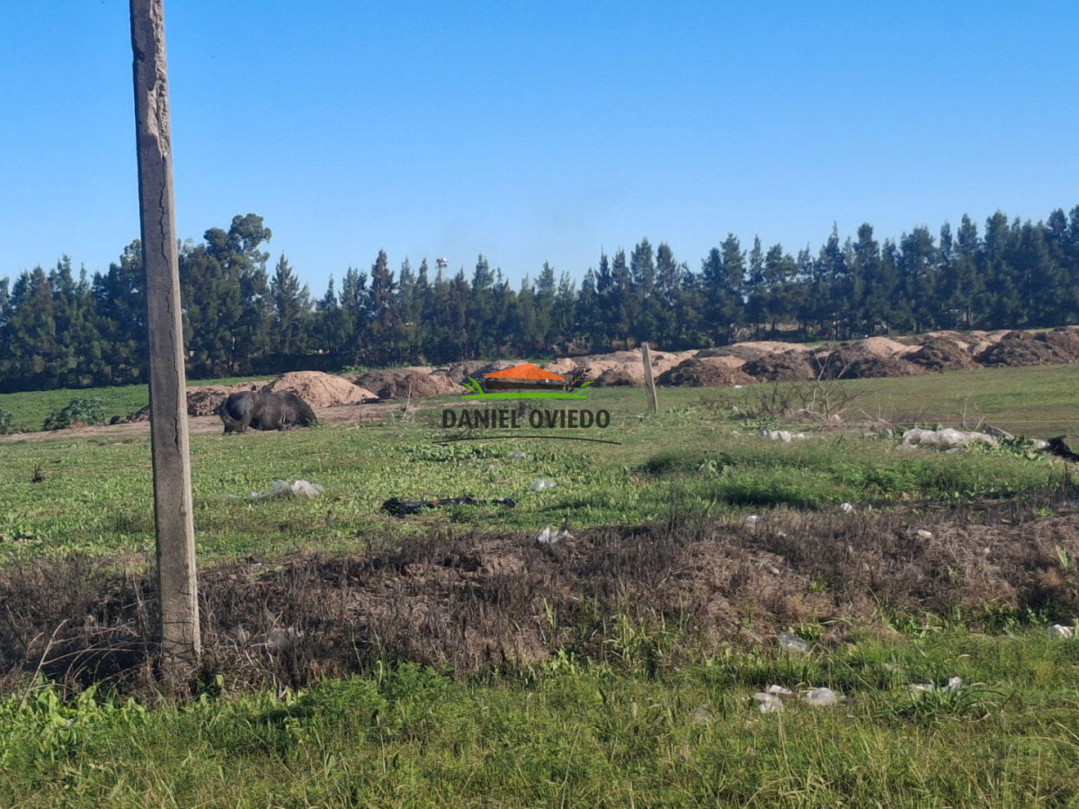 Terreno ID.179/Hermoso-terreno-en-venta-en-Av.-Paraguay,-Carmelo. - Hermoso terreno en venta en Av. Paraguay, Carmelo.