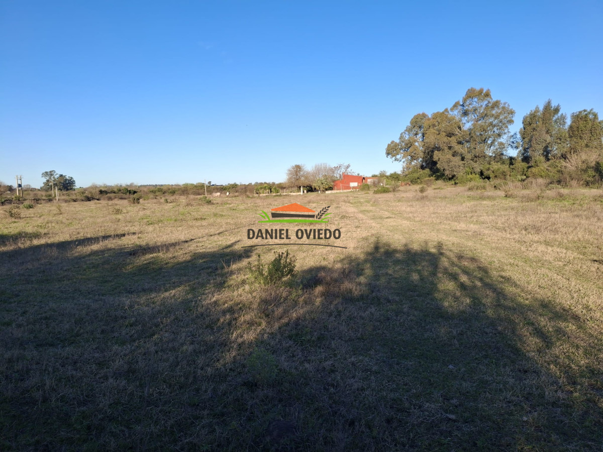 Terreno ID.250/Gran-terreno-en-venta-en-Polo-Industrial-y-Logistico-Nueva-Palmira. - Gran terreno en venta en Polo Industrial y Logistico Nueva Palmira.