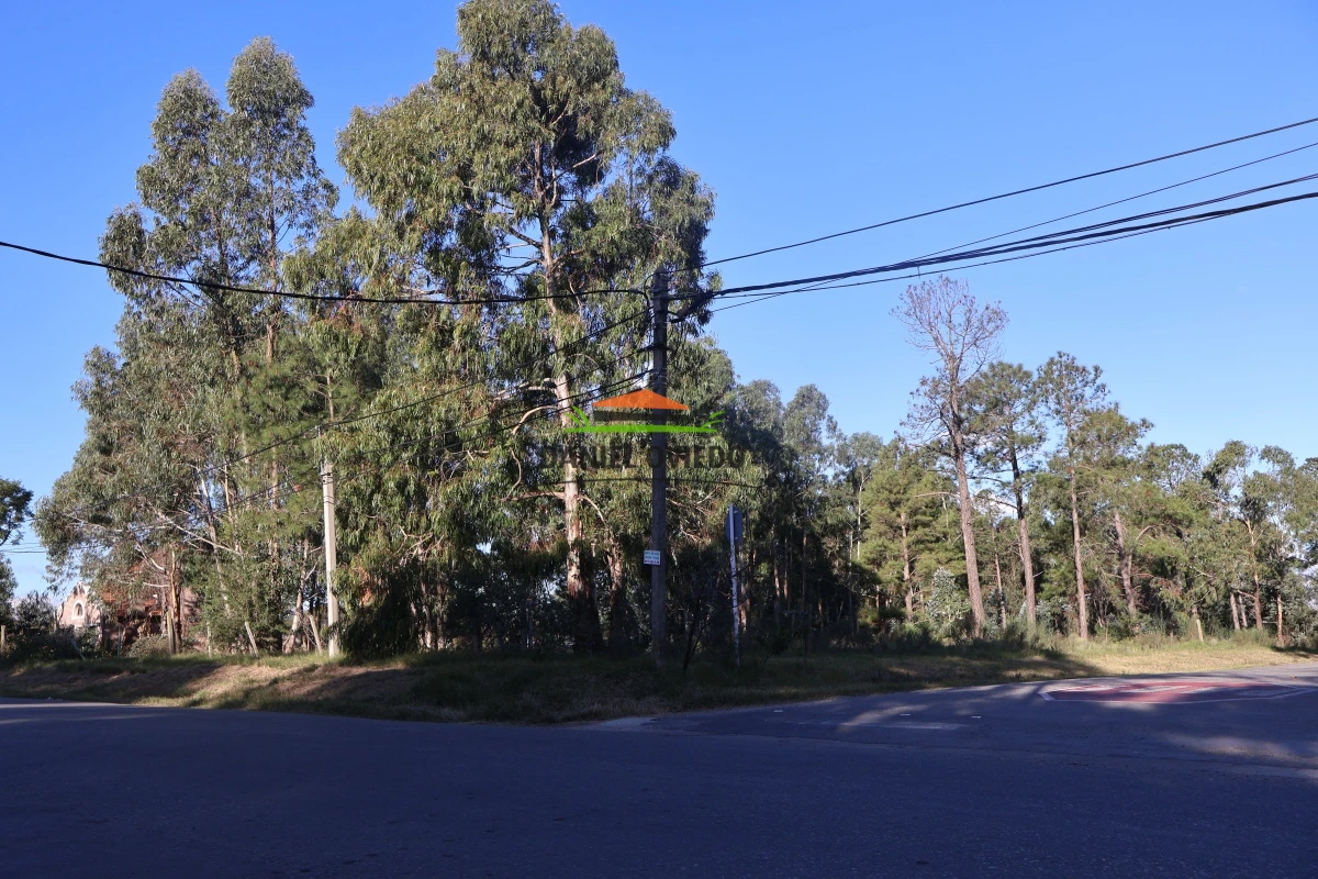 Terreno ID.131/Terreno-en-venta-en-excelente-ubicaci - Terreno en venta en excelente ubicación ideal para proyecto inmobiliario.