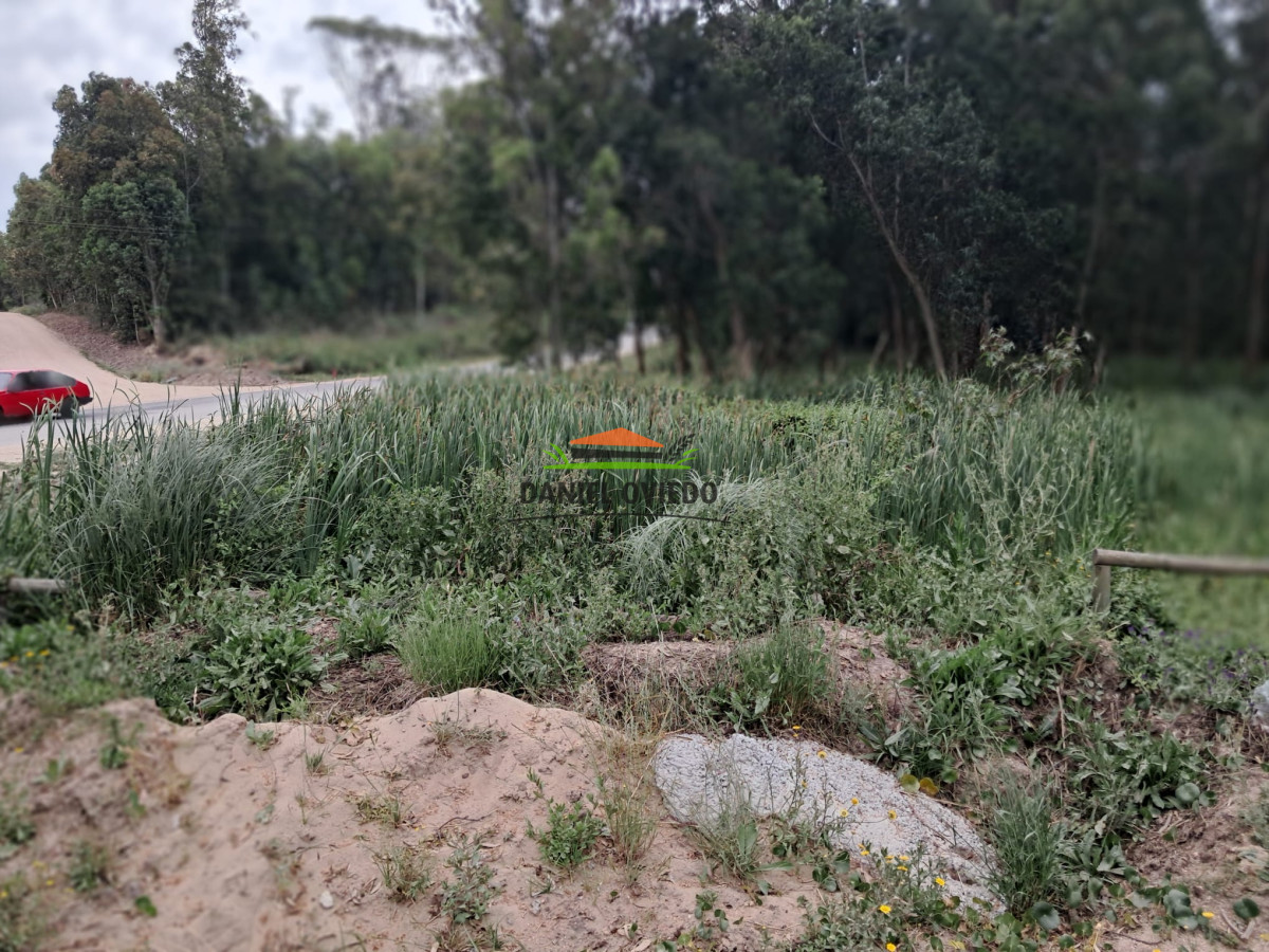 Terreno ID.326/Gran-terreno-en-venta-en-Luis-Sambucetti,-El-Tesoro. - Gran terreno en venta en Luis Sambucetti, El Tesoro.