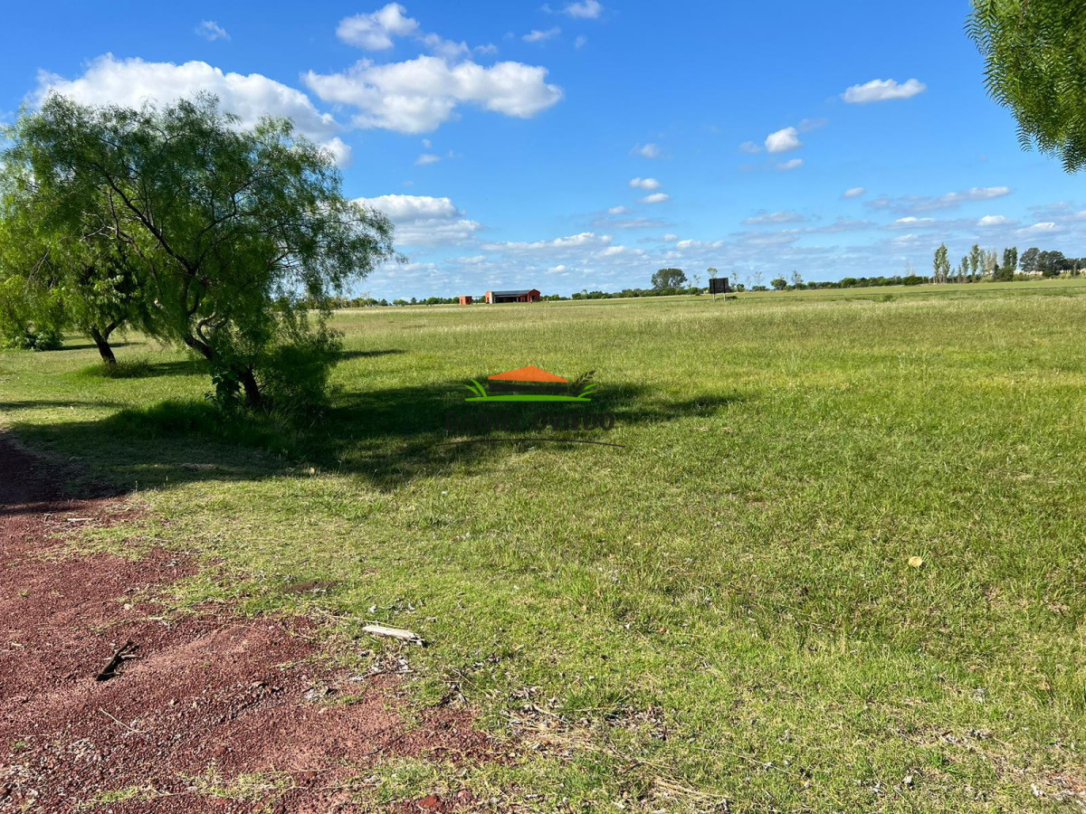 Terreno ID.185 - Oportunidad lote en venta en el Club de Golf Carmelo.