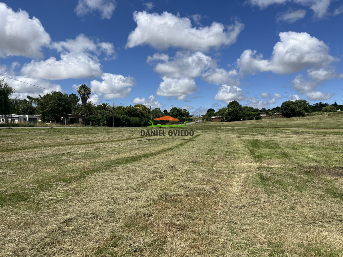Terreno ID.156 - Terreno de 706 m2 en venta en Fraccionamiento Las Rosas.